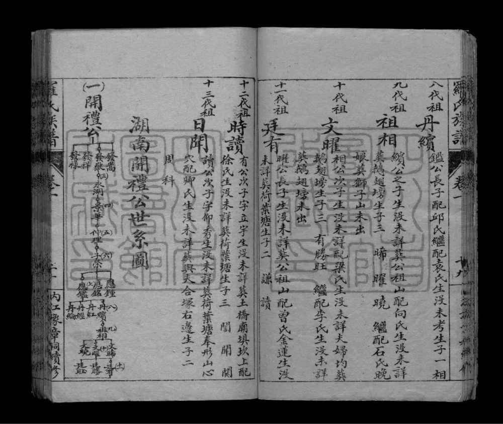 图片[4]-四川内江罗氏族谱电子版PDF下载-中华家谱网