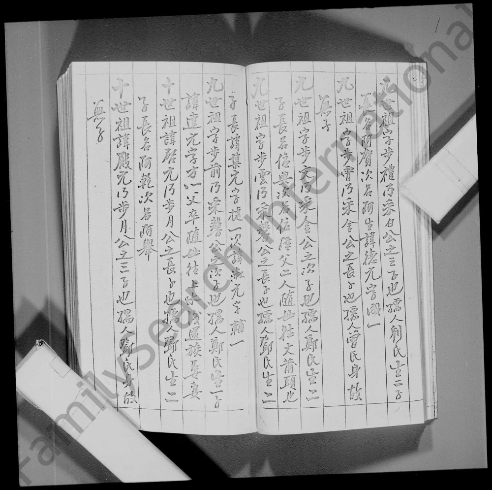 图片[5]-香港林氏族谱电子版PDF下载-中华家谱网