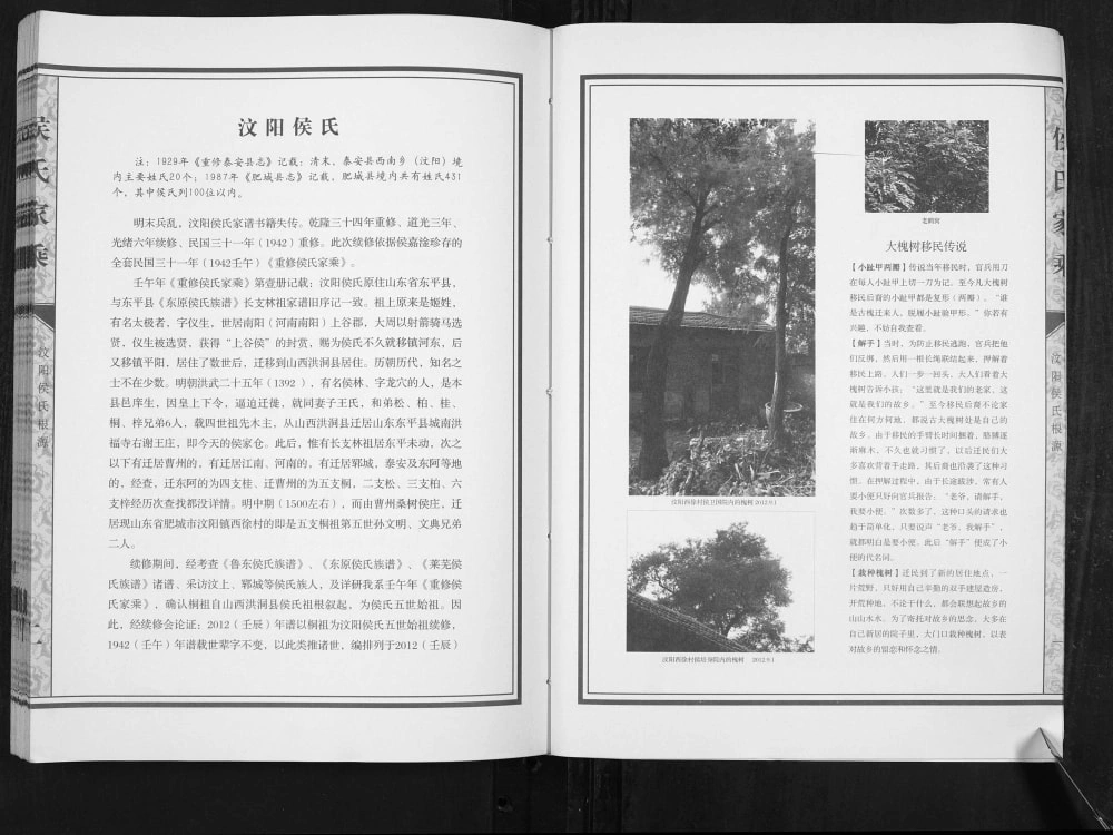 图片[2]-山东肥城汶阳侯氏家乘续修电子版PDF下载-中华家谱网