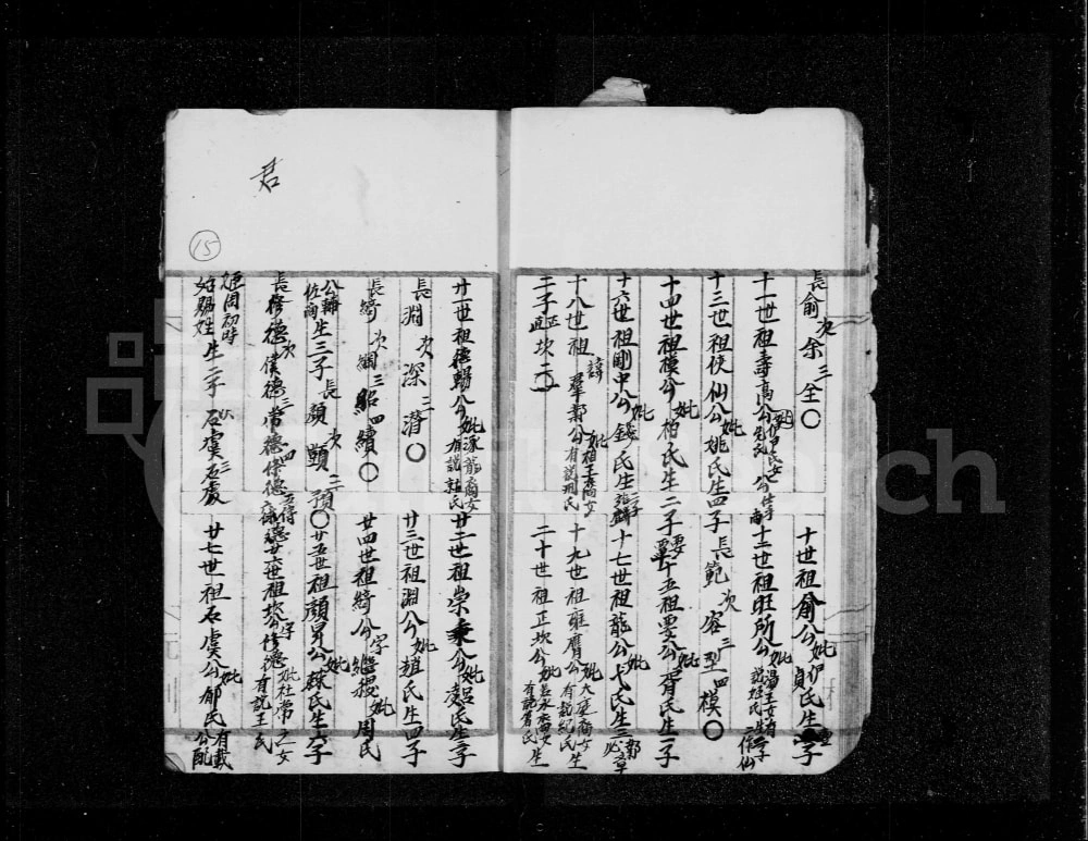 图片[6]-香港新界沙头角锁罗盆村黄姓族谱电子版PDF下载-中华家谱网