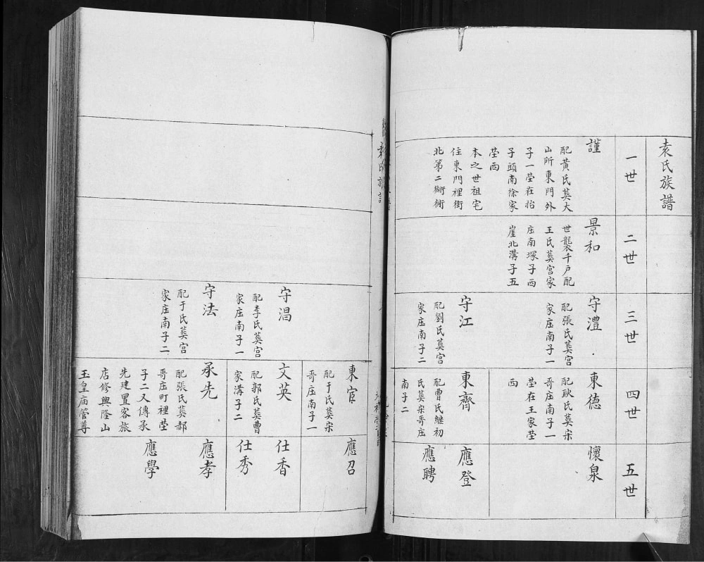 图片[5]-山东青岛即墨袁氏族谱（光裕堂）电子版PDF下载-中华家谱网