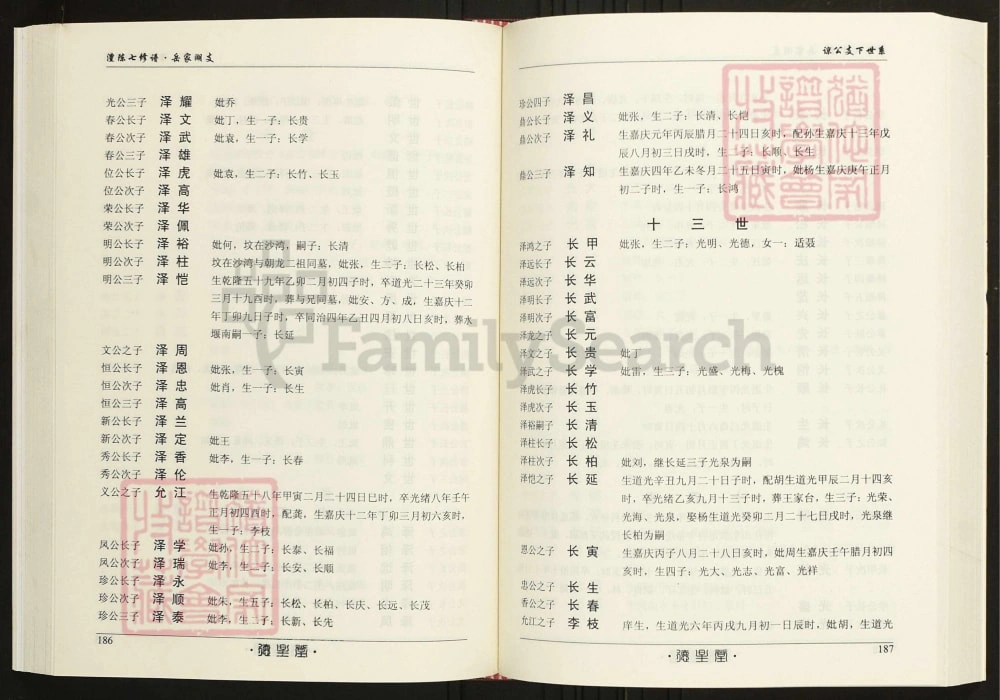 图片[7]-湖南常德陈氏族谱岳家湖支电子版PDF下载-中华家谱网