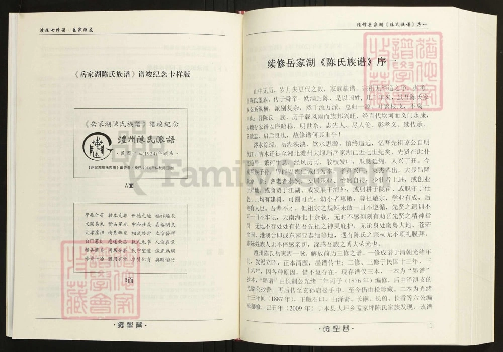 图片[2]-湖南常德陈氏族谱岳家湖支电子版PDF下载-中华家谱网