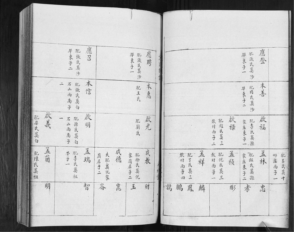 图片[8]-山东青岛即墨袁氏族谱（光裕堂）电子版PDF下载-中华家谱网