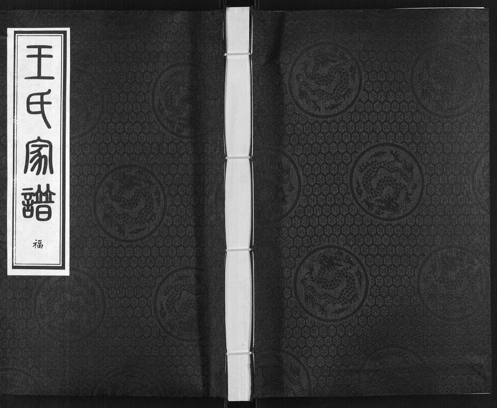 图片[1]-河北沧州东光县王氏家谱电子版PDF下载-中华家谱网