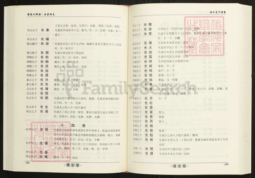 图片[8]-湖南常德陈氏族谱岳家湖支电子版PDF下载-中华家谱网