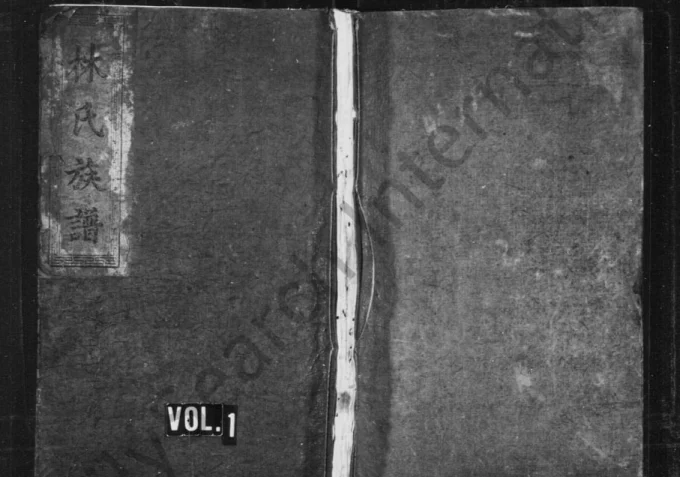 湖南邵阳林氏族谱(济南堂)-中华家谱网