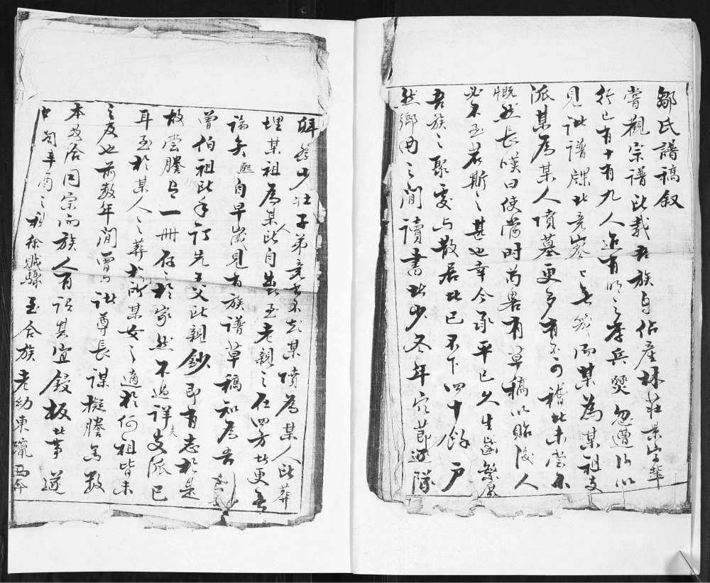 图片[4]-山东即墨邹家疃邹氏族谱（光裕堂）电子版PDF下载-中华家谱网