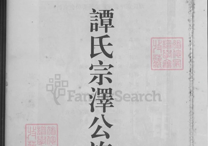 广东罗定谭氏宗泽公族谱-中华家谱网