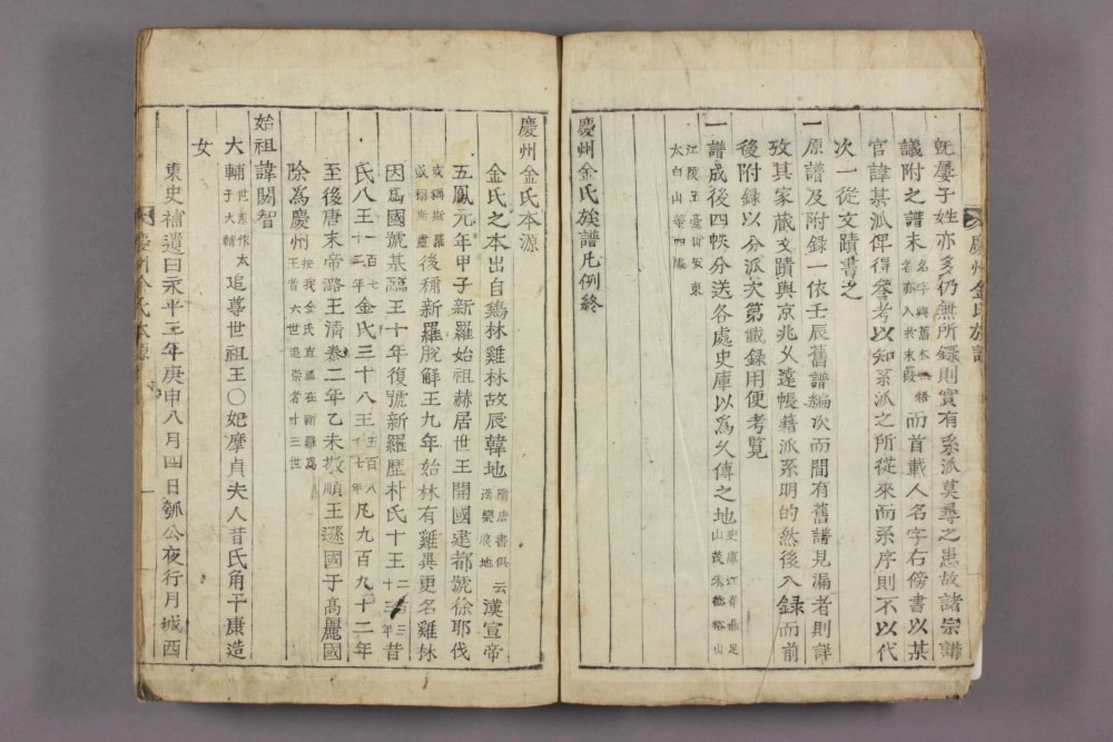 图片[4]-庆州金氏族谱电子版PDF下载-中华家谱网