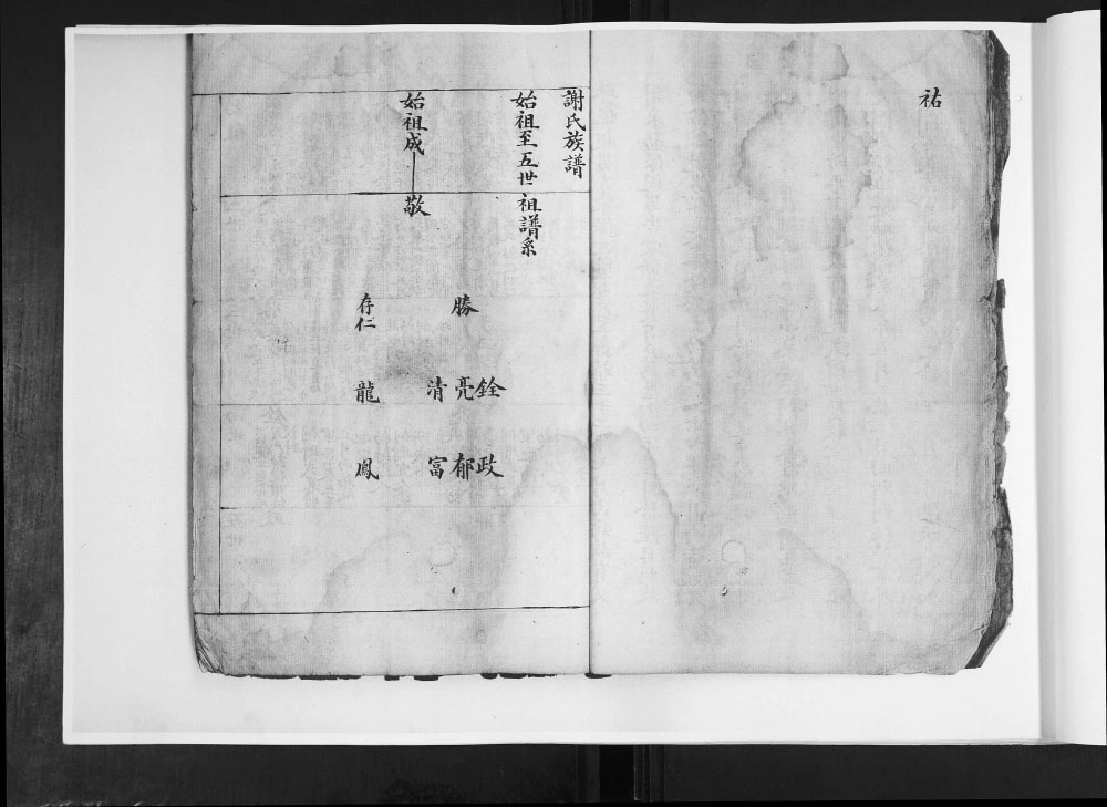 图片[3]-山东青岛即墨谢氏祖谱电子版PDF下载-中华家谱网