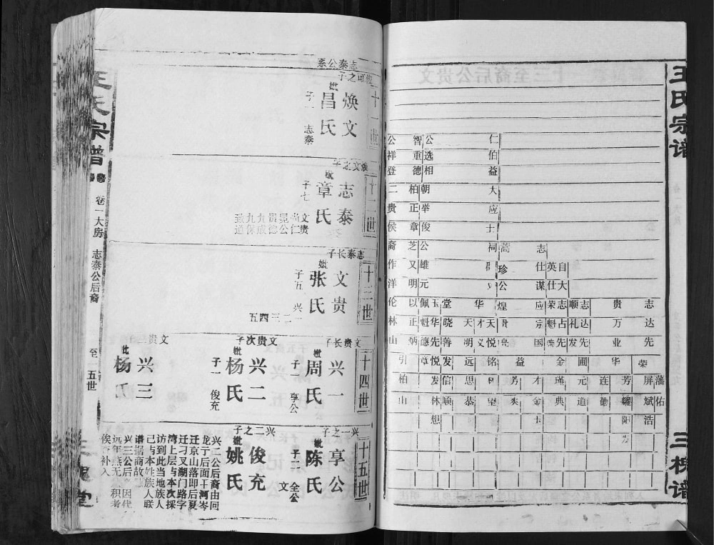 图片[4]-湖北汉川天门仙桃楚北灉江王氏宗谱（三槐堂）电子版PDF下载-中华家谱网