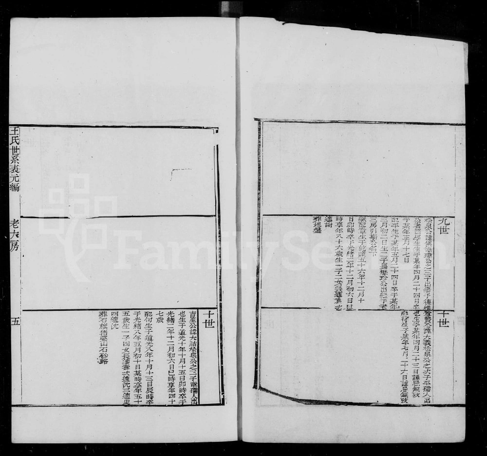 图片[8]-浙江绍兴王氏世系图表电子版PDF下载-中华家谱网