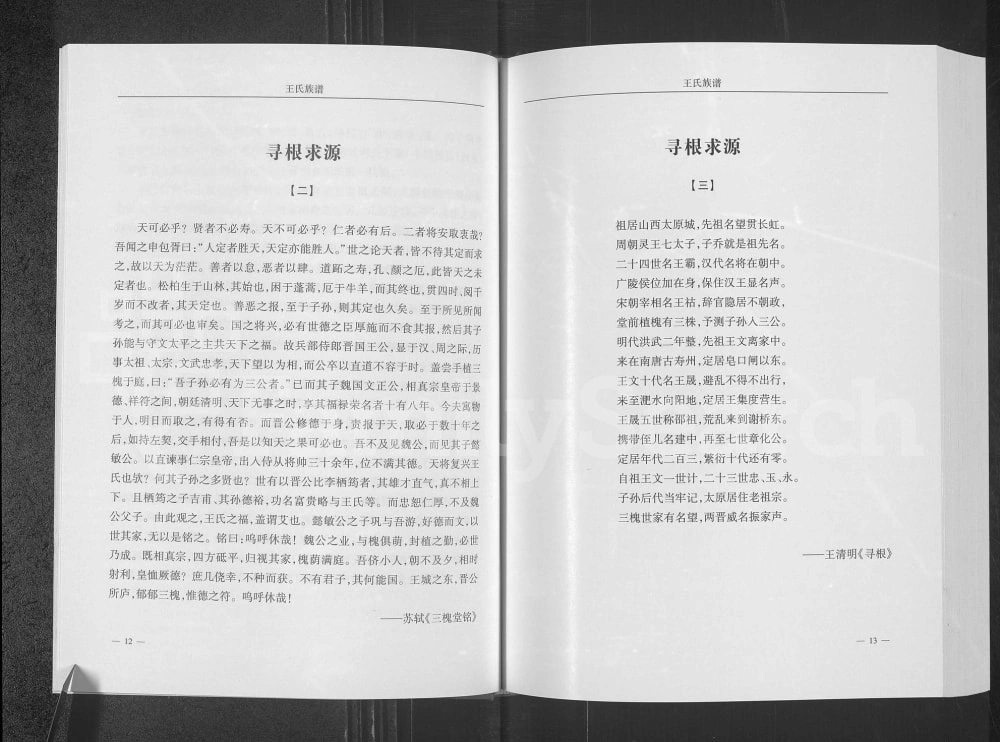 图片[5]-安徽阜阳颍上县王氏族谱（三槐堂）电子版PDF下载-中华家谱网