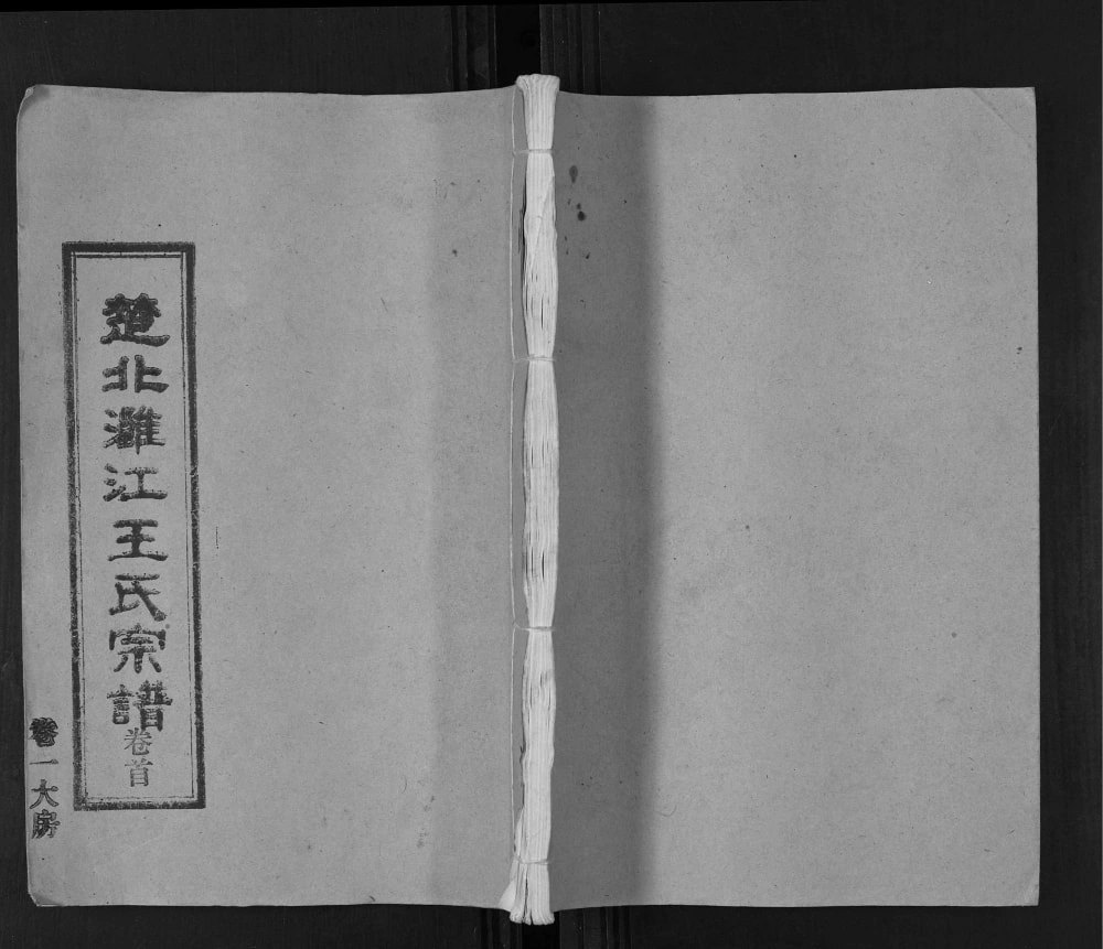 图片[1]-湖北汉川天门仙桃楚北灉江王氏宗谱（三槐堂）电子版PDF下载-中华家谱网