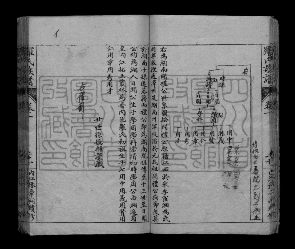 图片[5]-四川内江罗氏族谱电子版PDF下载-中华家谱网