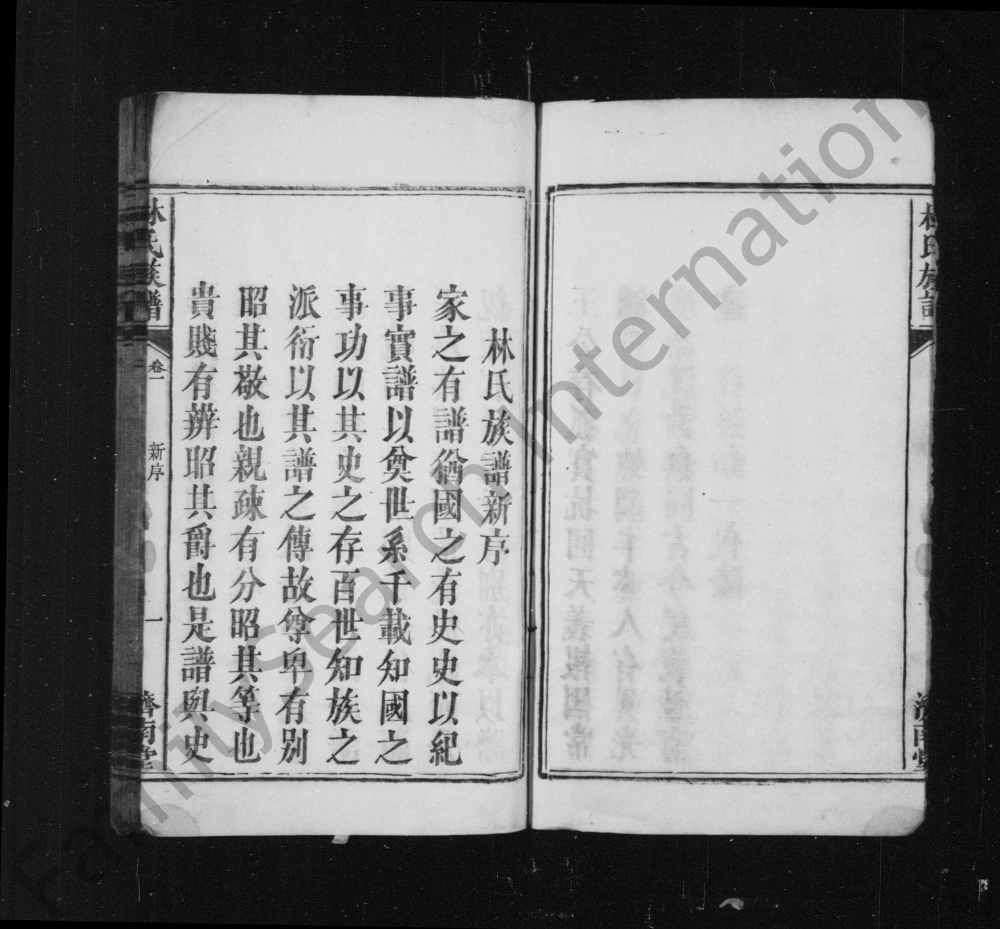 图片[4]-湖南邵阳林氏族谱（济南堂）电子版PDF下载-中华家谱网