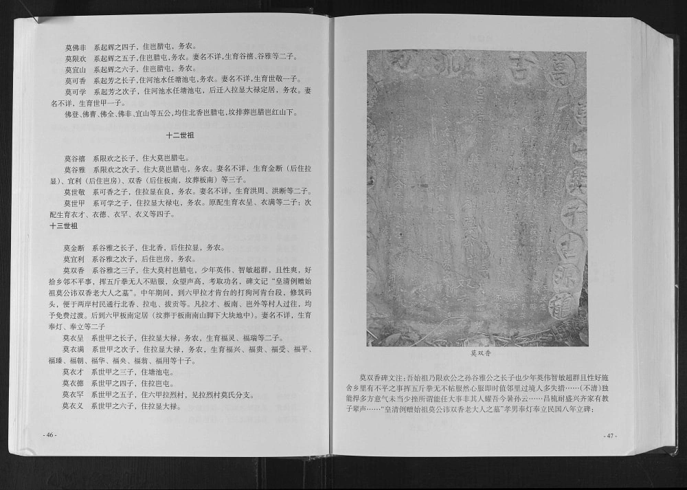 图片[8]-广西河池金城江区莫氏族谱电子版PDF下载-中华家谱网