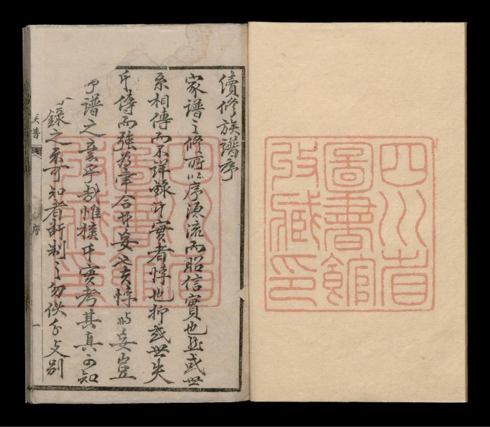 图片[1]-四川内江段氏族谱电子版PDF下载-中华家谱网