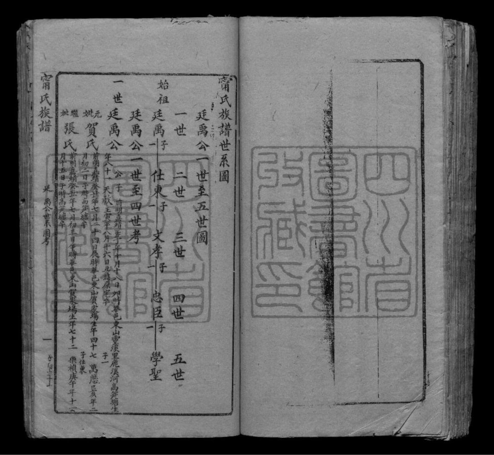 图片[3]-四川成都宁氏族谱电子版PDF下载-中华家谱网