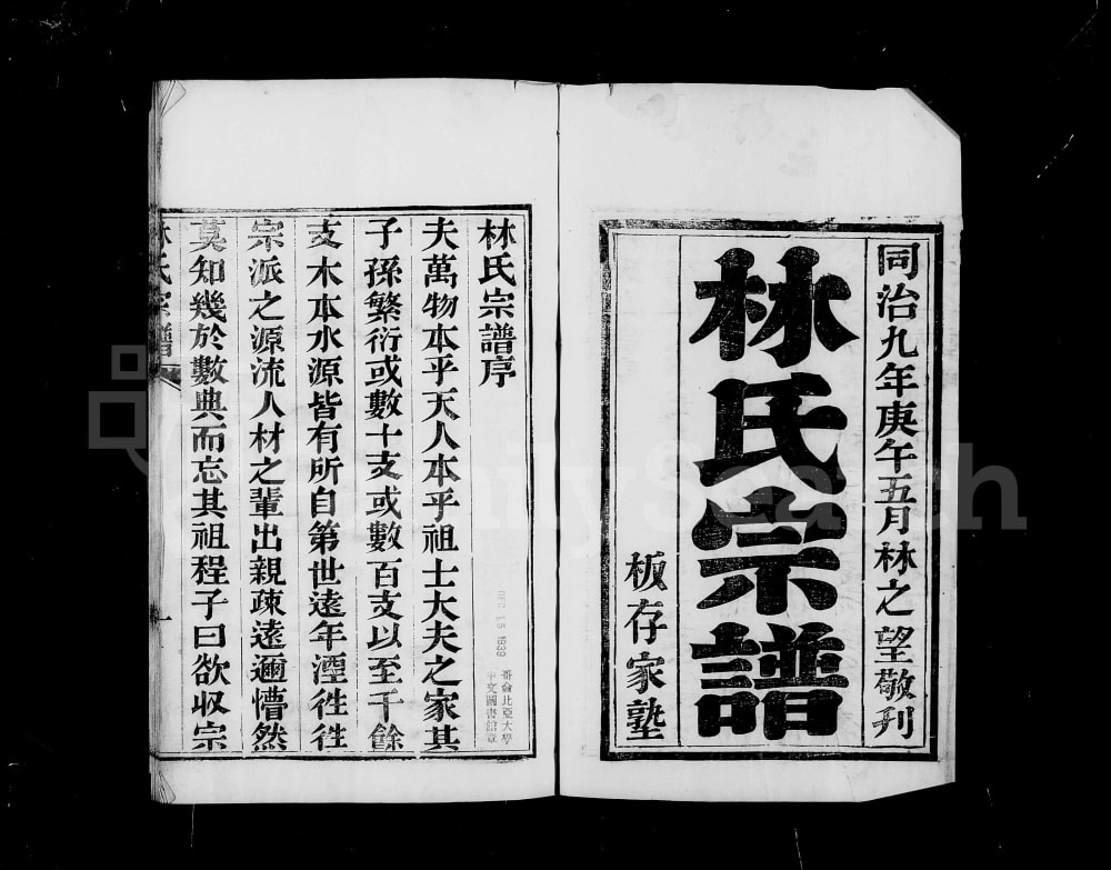 图片[1]-安徽蚌埠怀远林氏宗谱电子版PDF下载-中华家谱网