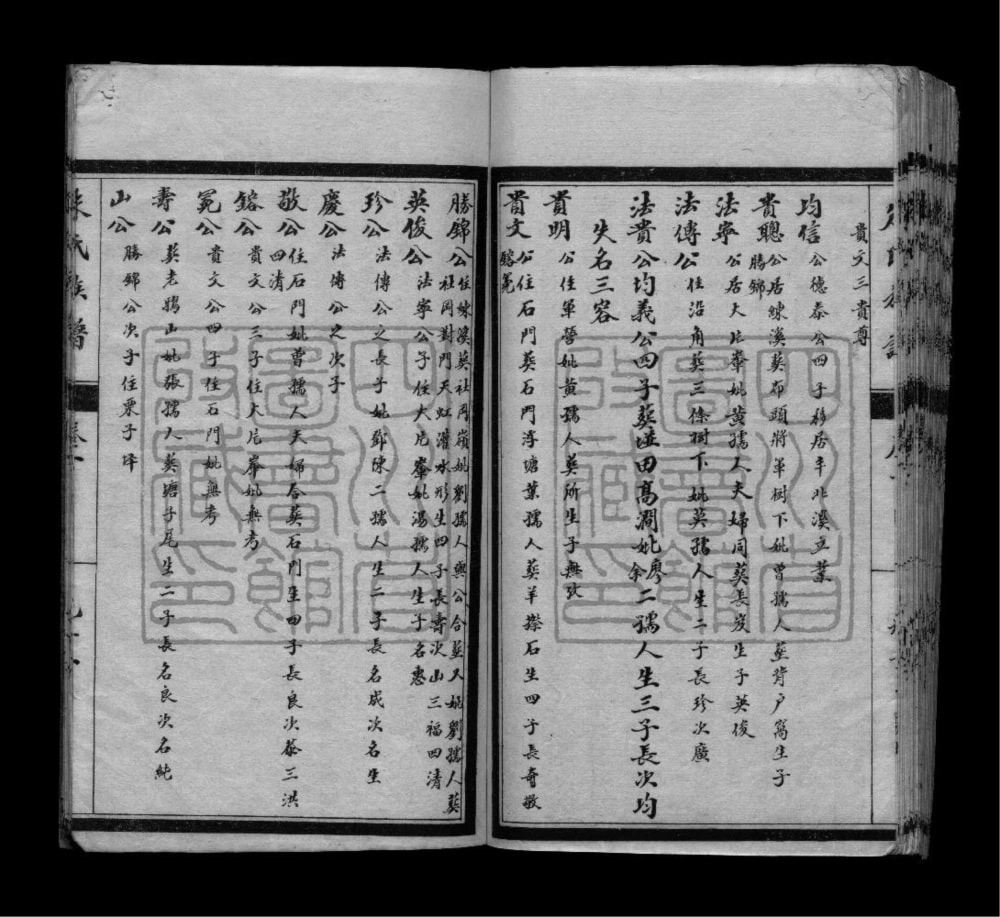 图片[8]-四川简阳朱氏大进续修族谱电子版PDF下载-中华家谱网