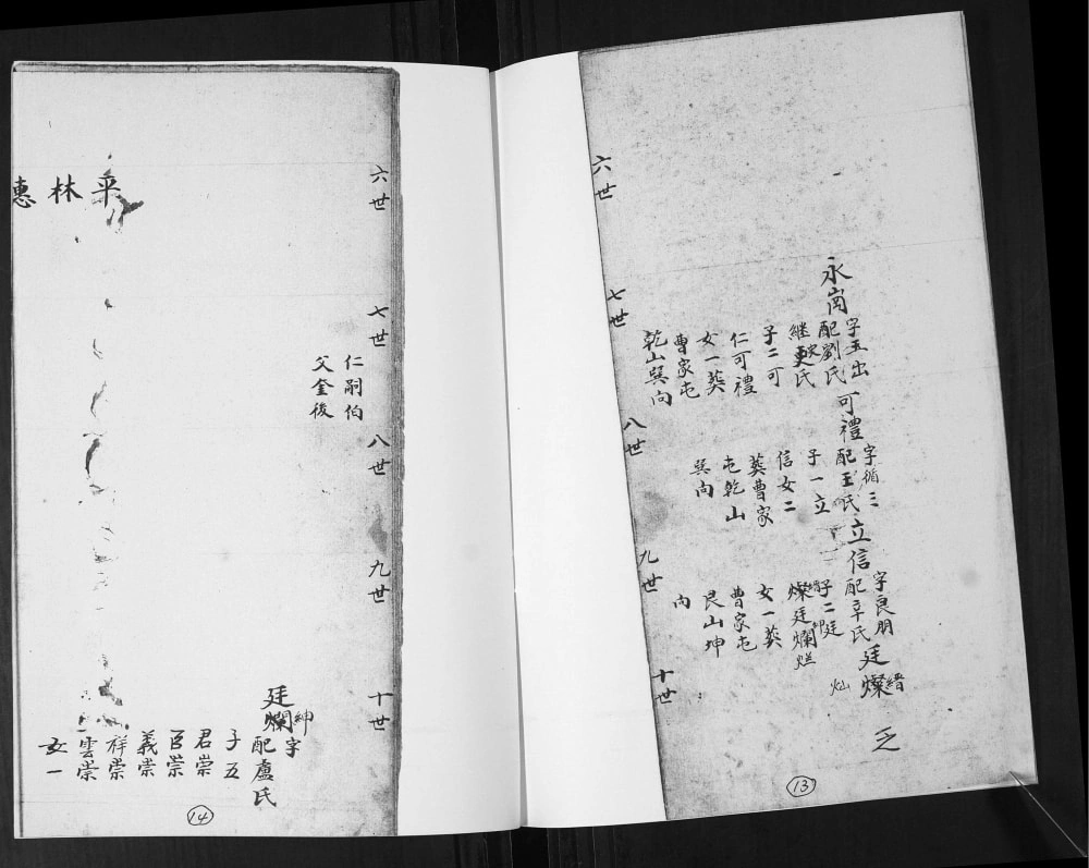 图片[8]-山东即墨窦氏族谱电子版PDF下载-中华家谱网