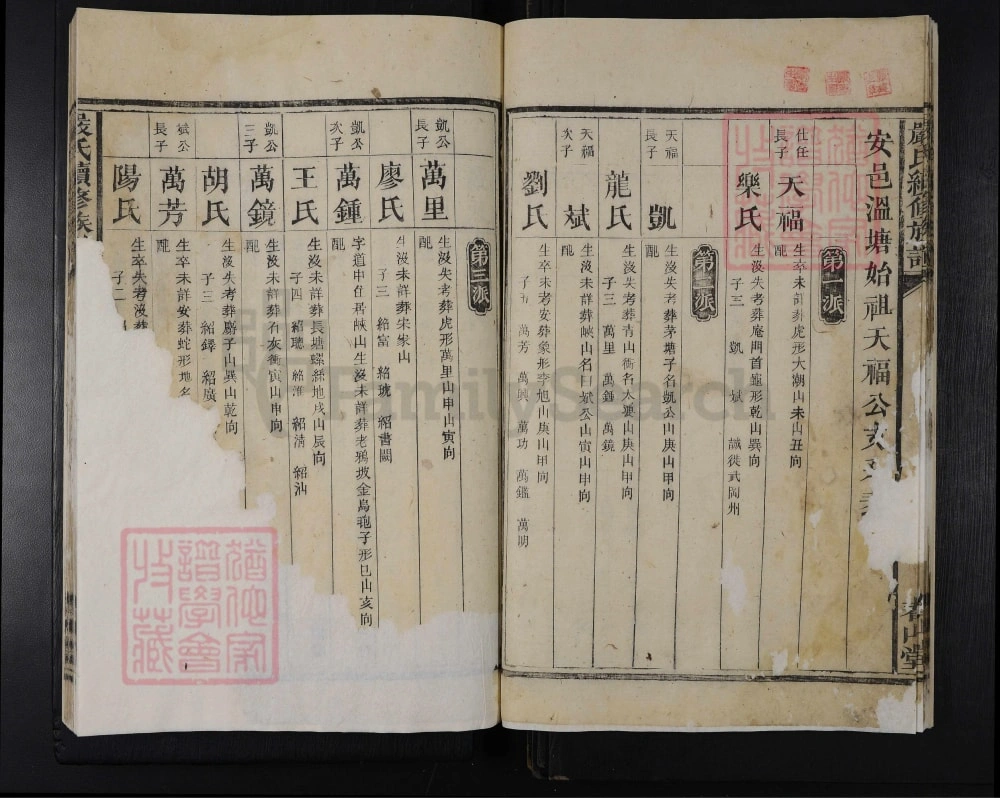 图片[6]-湖南安化严氏续修族谱（春山堂）电子版PDF下载-中华家谱网