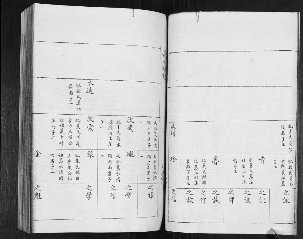 图片[7]-山东青岛即墨袁氏族谱（光裕堂）电子版PDF下载-中华家谱网