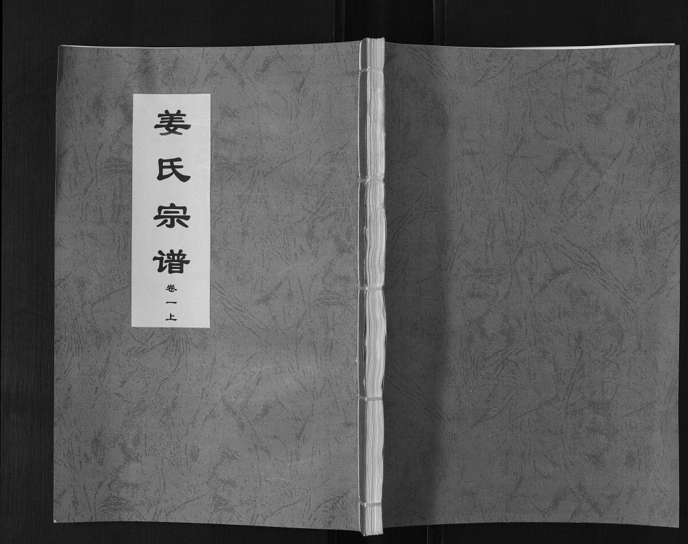 图片[1]-安徽合肥庐江县姜氏宗谱电子版PDF下载-中华家谱网