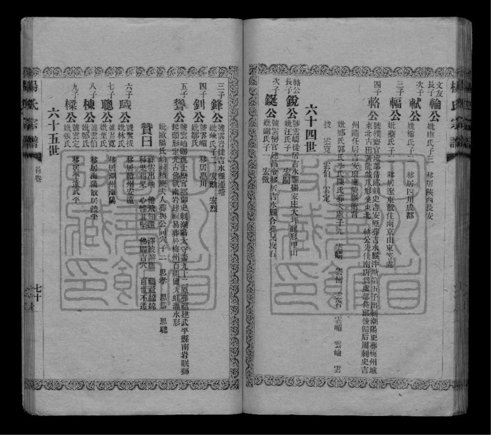 图片[6]-四川资阳资中杨氏祠支谱电子版PDF下载-中华家谱网