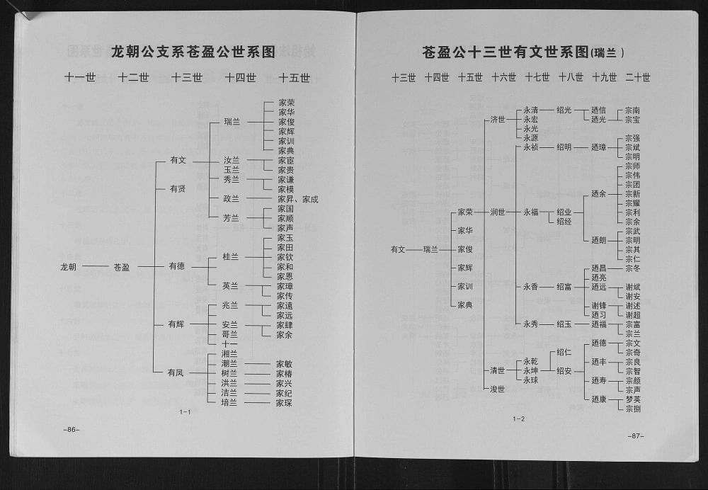 图片[5]-广西玉林陆川谢氏族谱玉荣脉系电子版PDF下载-中华家谱网