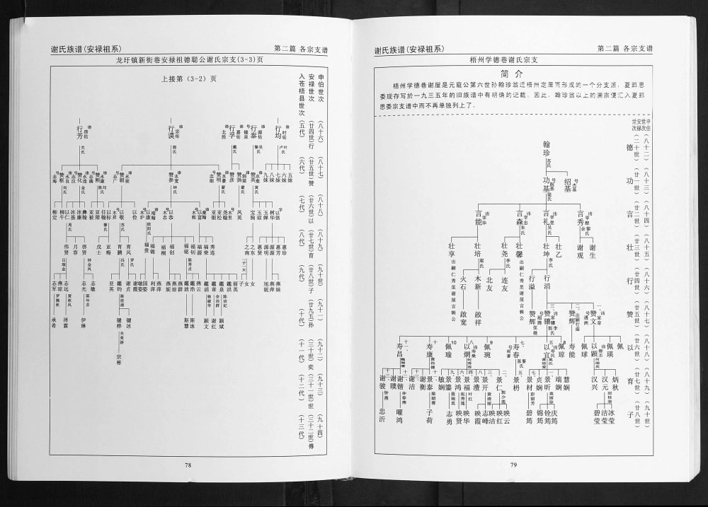 图片[5]-广西梧州苍梧县谢氏族谱电子版PDF下载-中华家谱网