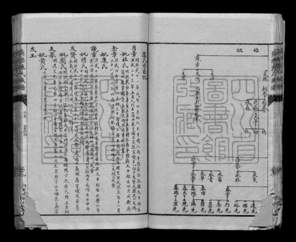 图片[6]-四川简阳应氏族谱电子版PDF下载-中华家谱网