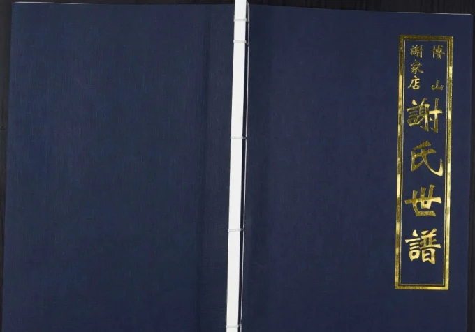 山东淄博桓台县谢氏世谱-中华家谱网