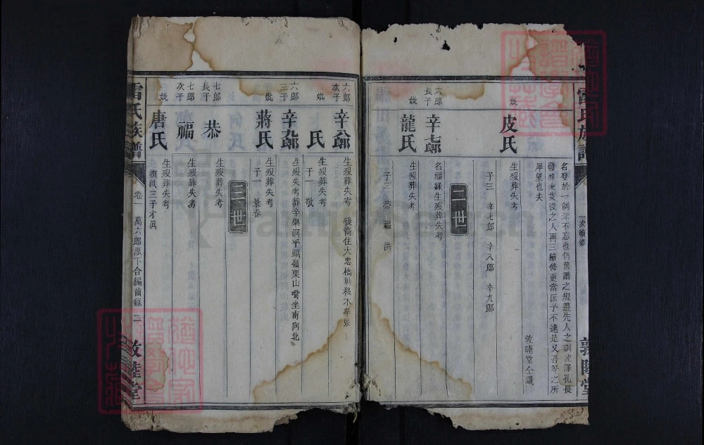 图片[8]-湖南永州雷氏族谱（敦睦堂）电子版PDF下载-中华家谱网