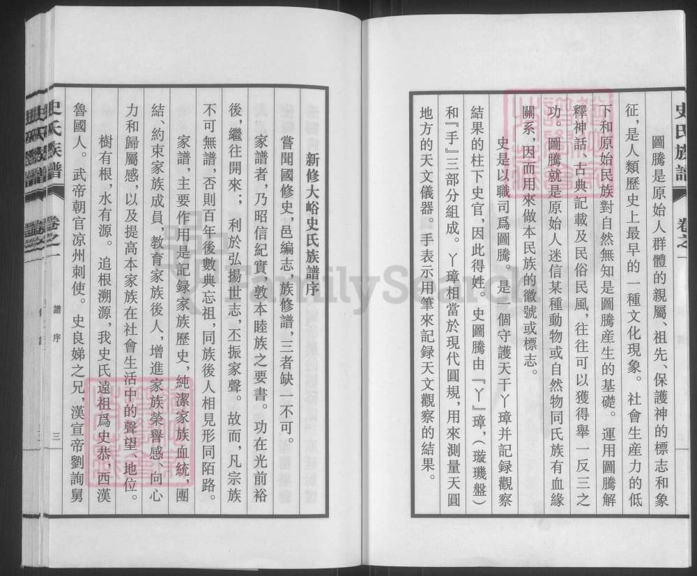 图片[4]-山西阳泉盂县新修大峪史氏族谱（忠烈堂）电子版PDF下载-中华家谱网