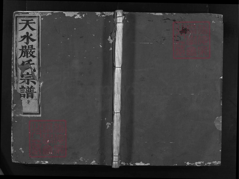 图片[1]-浙江兰溪聚凤严氏宗谱（存著堂）电子版PDF下载-中华家谱网