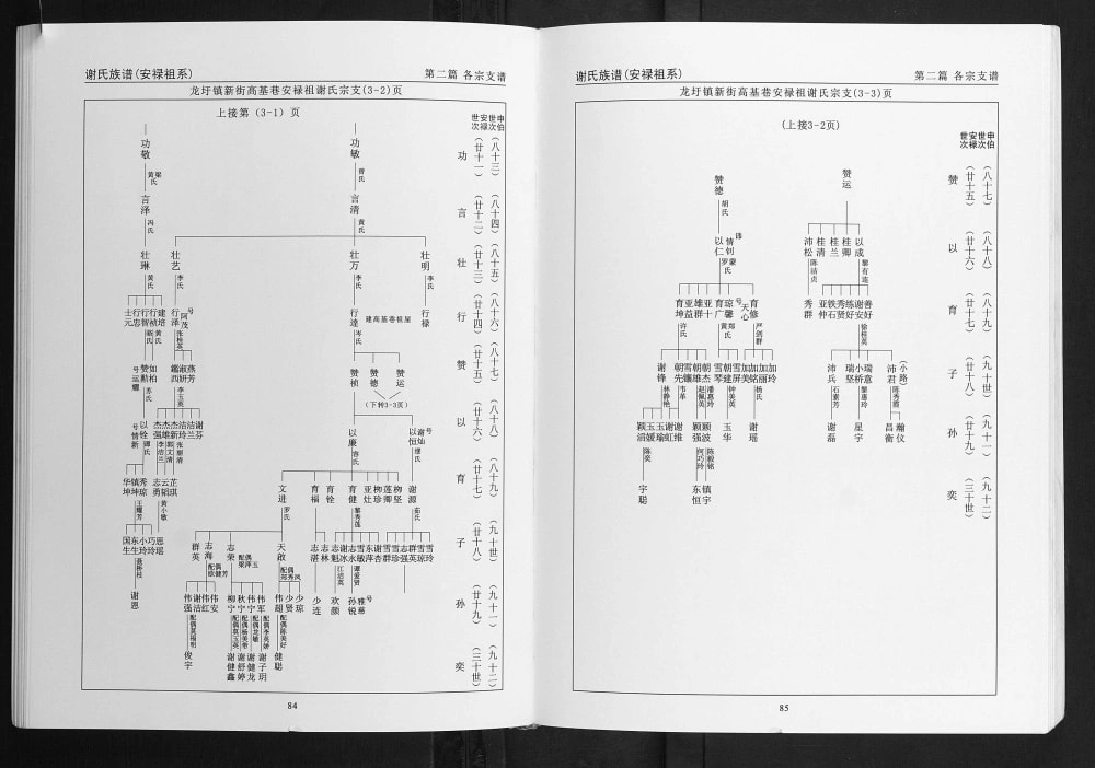 图片[8]-广西梧州苍梧县谢氏族谱电子版PDF下载-中华家谱网
