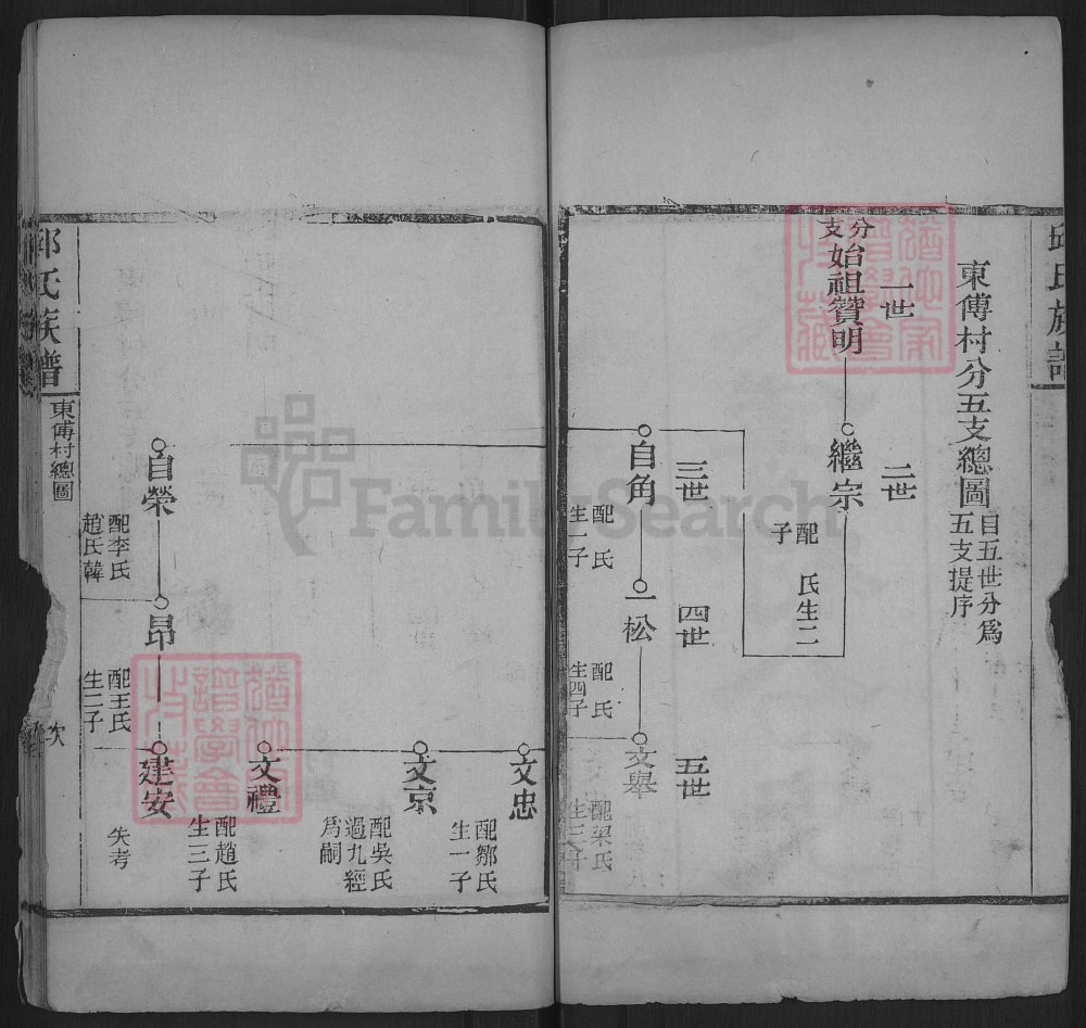 图片[8]-山东肥城县邱氏族谱电子版PDF下载-中华家谱网
