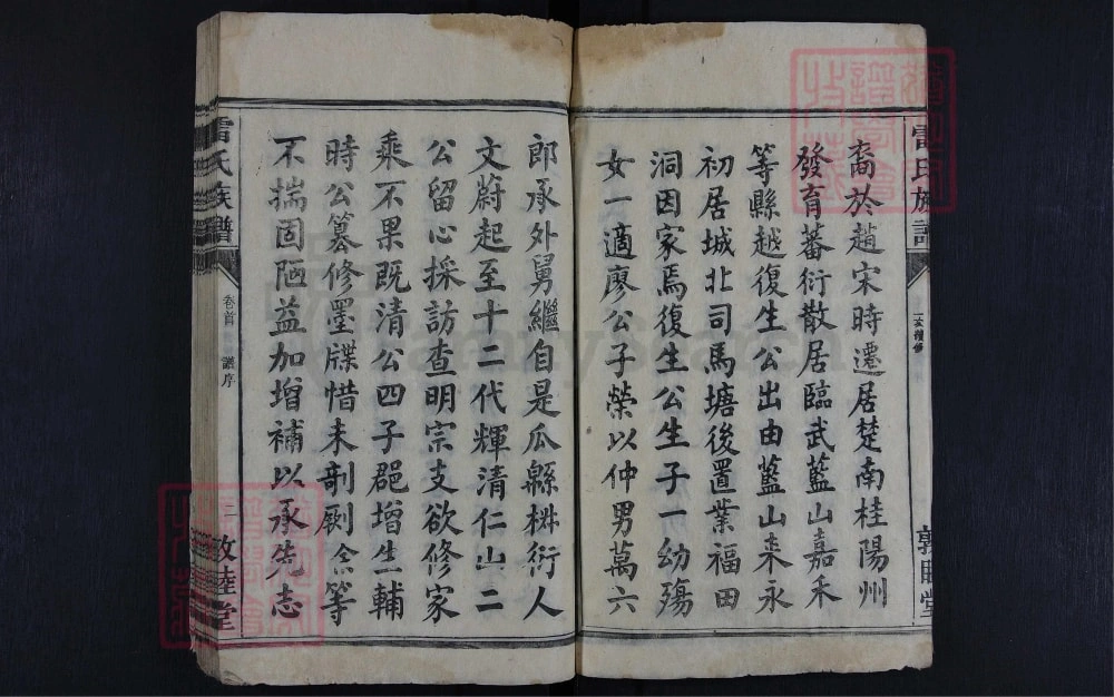 图片[4]-湖南永州雷氏族谱（敦睦堂）电子版PDF下载-中华家谱网