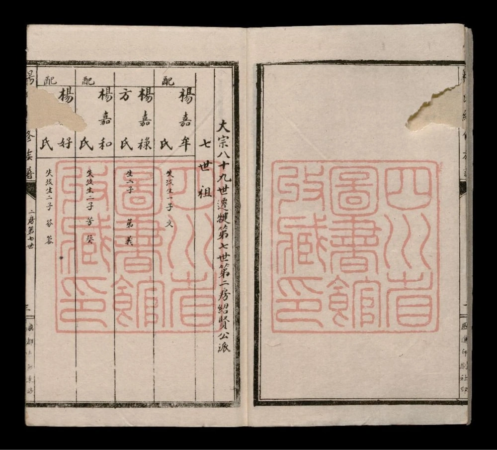 图片[7]-四川乐山犍为县杨氏续修族谱电子版PDF下载-中华家谱网