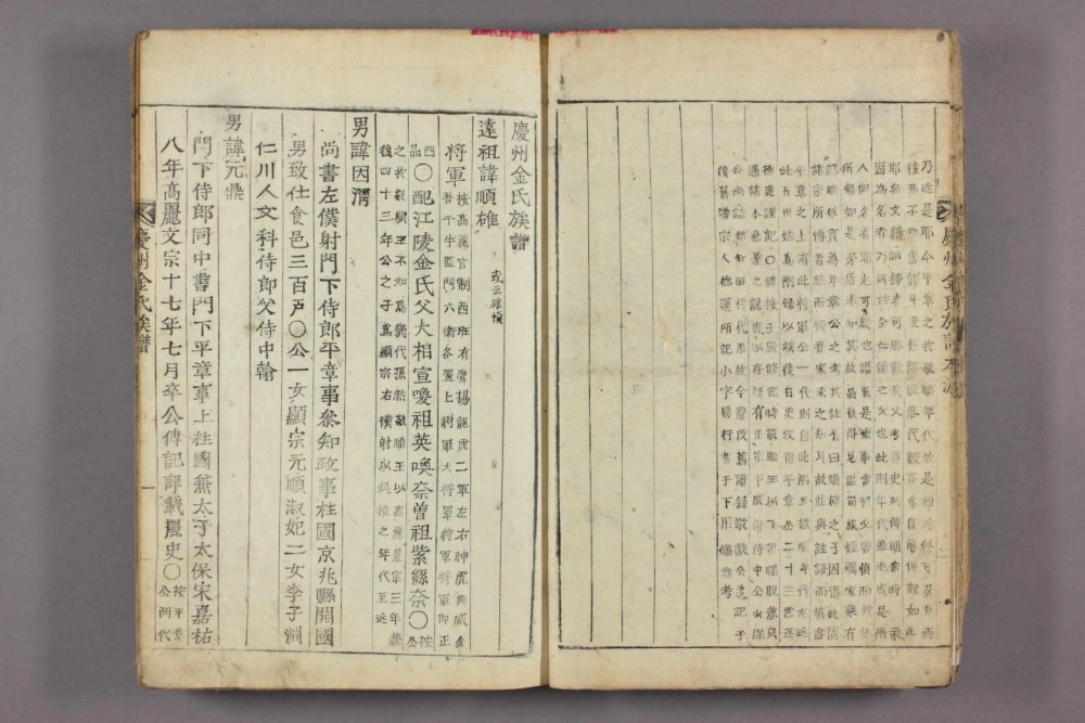 图片[5]-庆州金氏族谱电子版PDF下载-中华家谱网