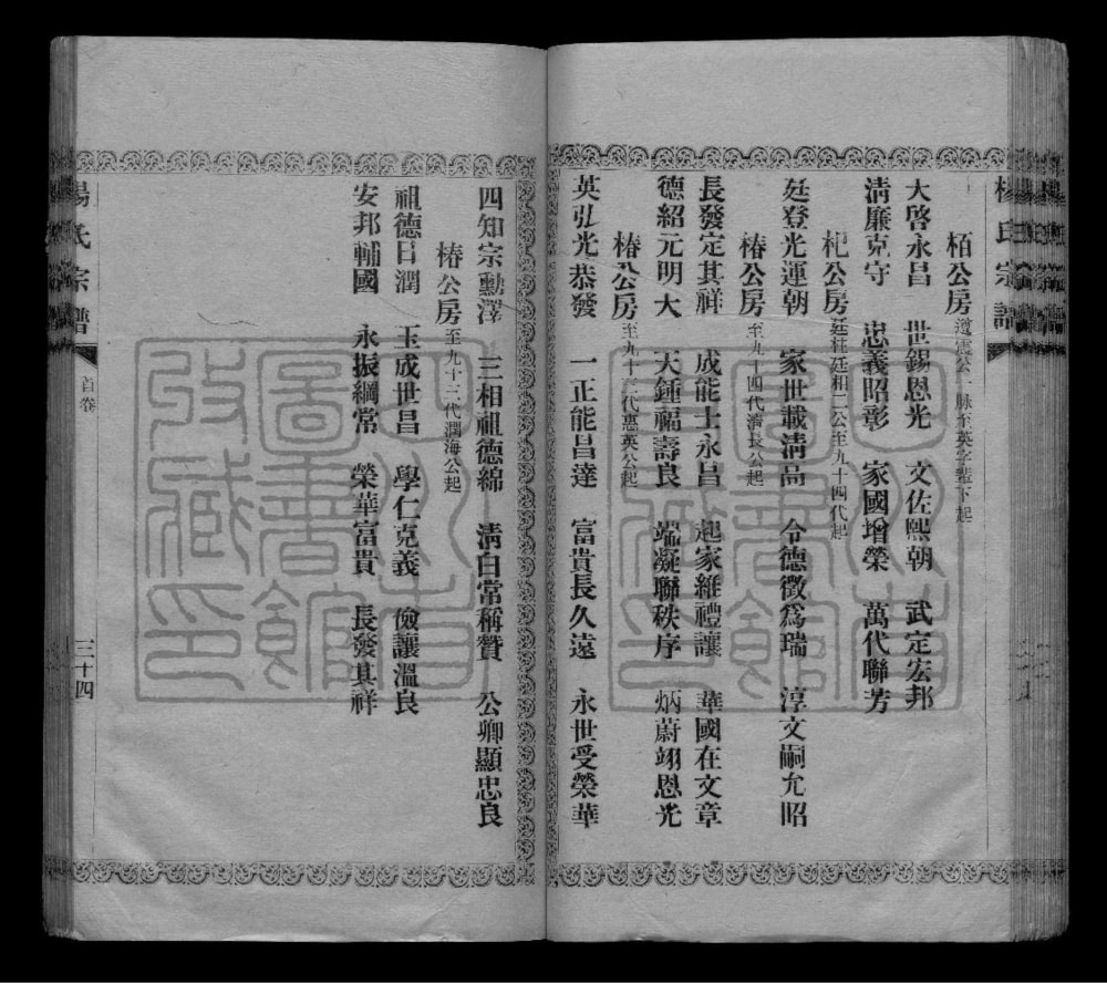 图片[5]-四川资阳资中杨氏祠支谱电子版PDF下载-中华家谱网