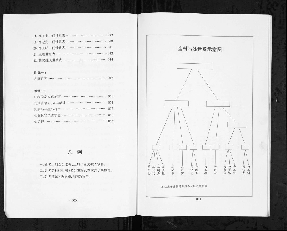 图片[5]-山西临汾汾西县后王堤村姓氏族谱汇编电子版PDF下载-中华家谱网
