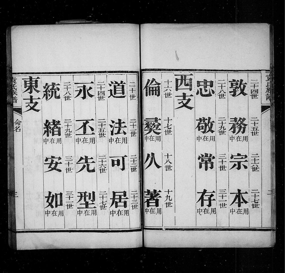 图片[5]-山东青岛即墨袁氏族谱（敦睦堂）电子版PDF下载-中华家谱网