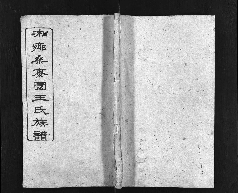 图片[1]-湖南湘乡桑枣园王氏族谱（太原堂）电子版PDF下载-中华家谱网