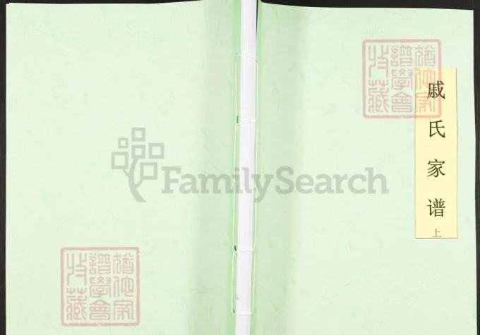 重庆忠县戚氏家谱-中华家谱网