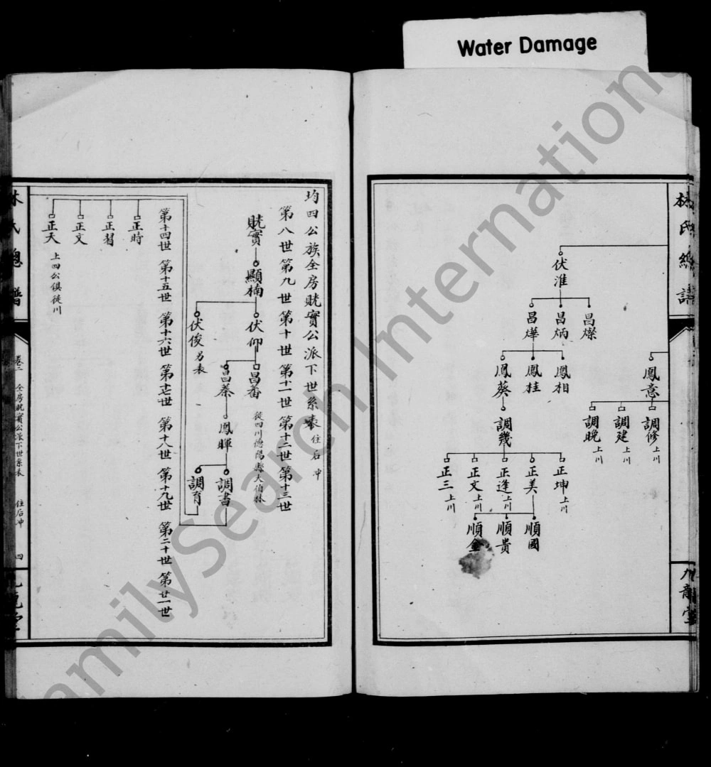 图片[6]-湖南武冈林氏总谱（九龙堂）电子版PDF下载-中华家谱网