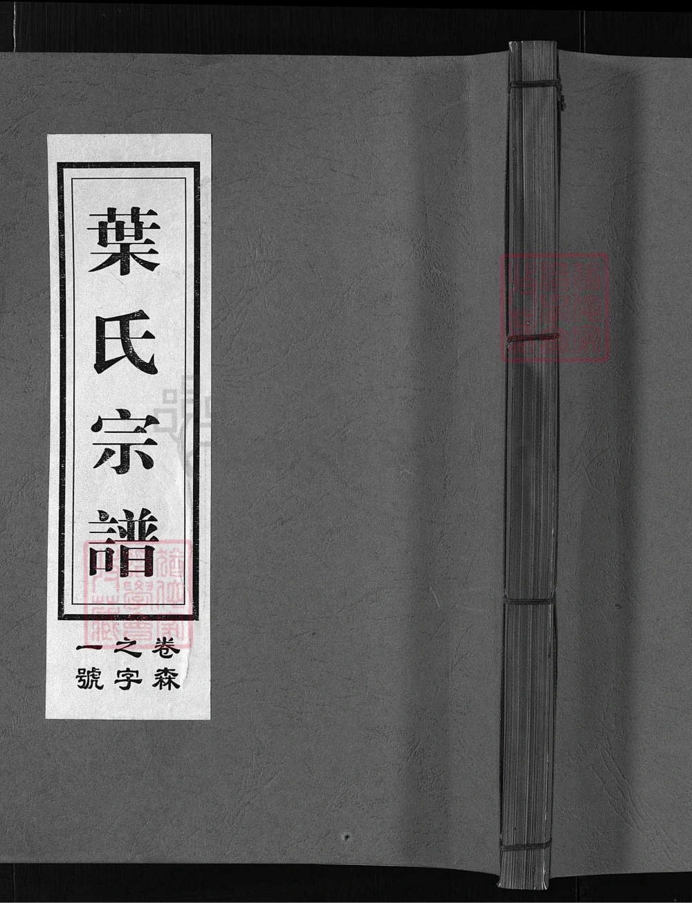 图片[1]-浙江兰溪南阳叶氏宗谱（如在堂）电子版PDF下载-中华家谱网